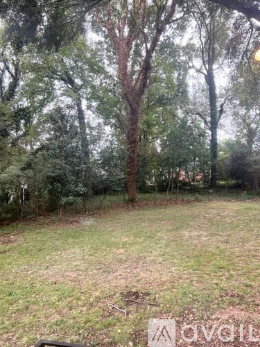 Atlanta House: 1816 Donnalee Ave SE