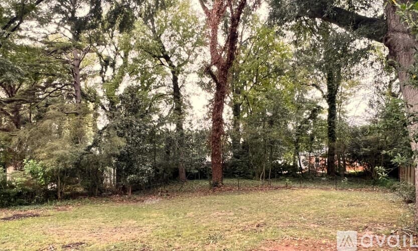 Atlanta House: 1816 Donnalee Ave SE