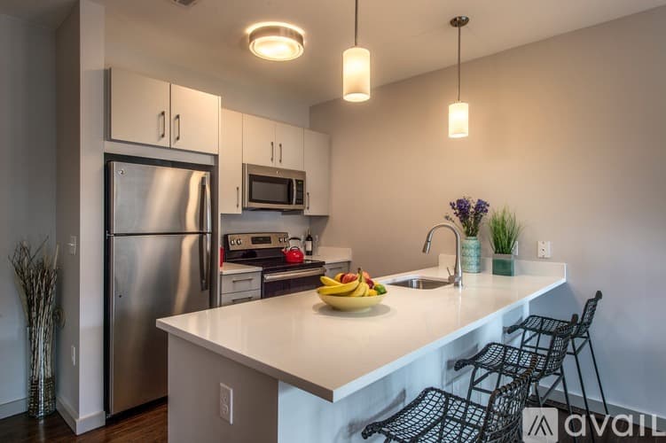 Brookline Apartment: 45 Marion St