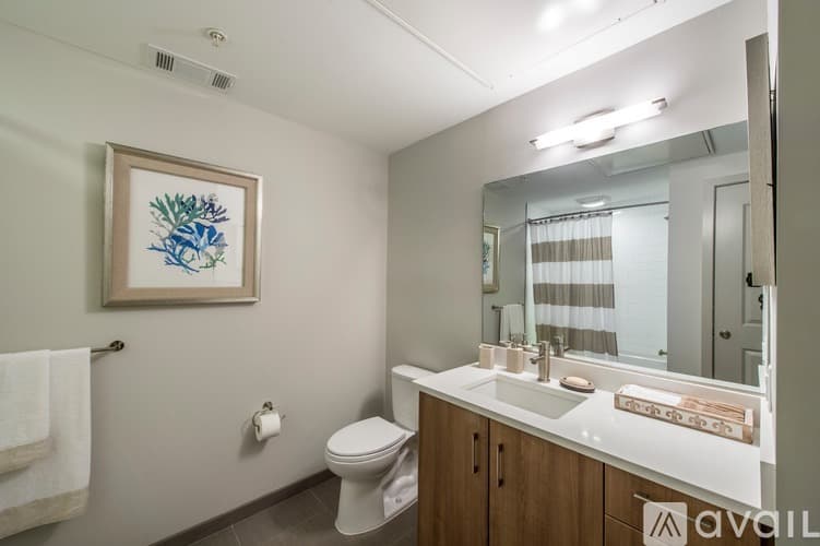 Brookline Apartment: 45 Marion St