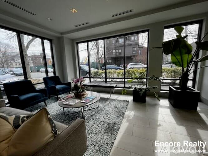 Brookline Apartment: 45 Marion St