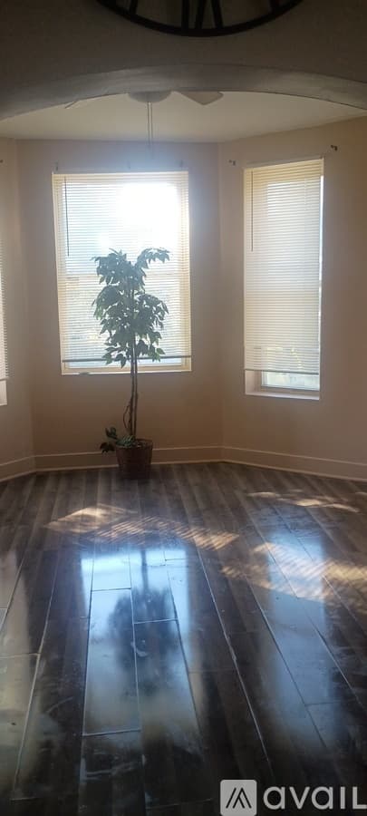 Chicago Apartment: 917 S Springfield Ave