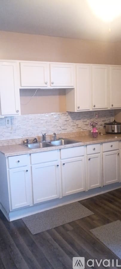 Chicago Apartment: 917 S Springfield Ave