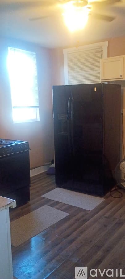 Chicago Apartment: 917 S Springfield Ave