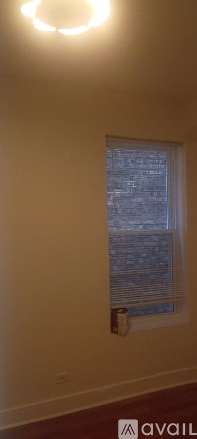Chicago Apartment: 917 S Springfield Ave
