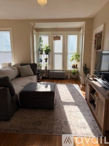 Plymouth Apartment: 51 Allerton Street