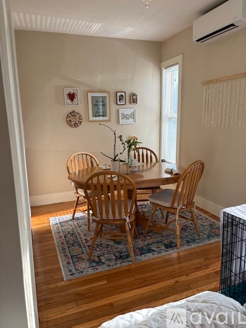Plymouth Apartment: 51 Allerton Street