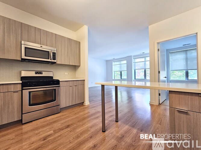 Chicago Apartment: 558 W Webster Ave