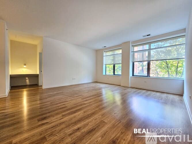 Chicago Apartment: 558 W Webster Ave