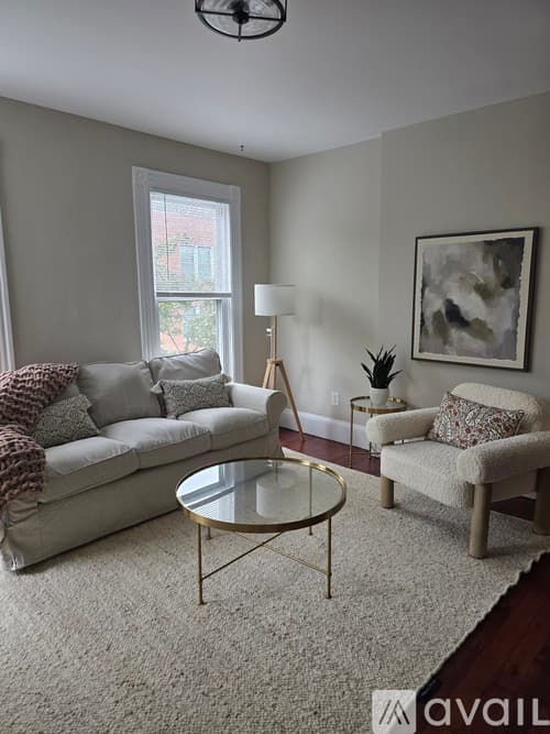 New Haven Apartment: 81 Edwards St