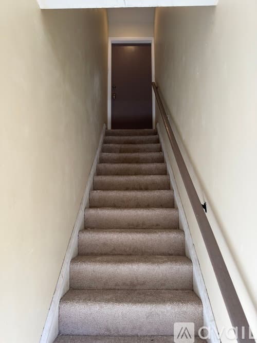 Philadelphia Apartment: 2055 South Street