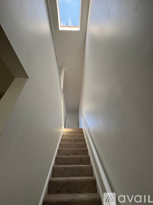 Philadelphia Apartment: 2055 South Street