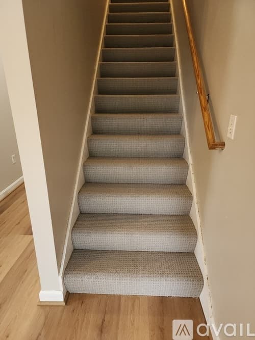 Springfield Apartment: 151 Cardinal Street