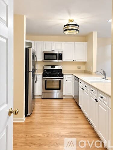 Chicago Condo: 4934 South Cornell Avenue