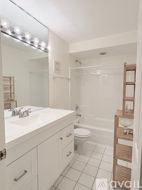 Chicago Condo: 4934 South Cornell Avenue