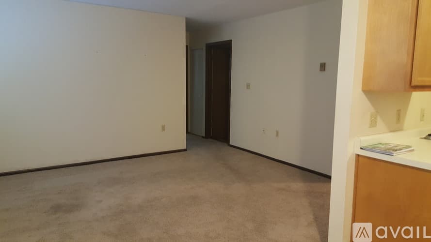 Ortonville Apartment: 299 Dyer St