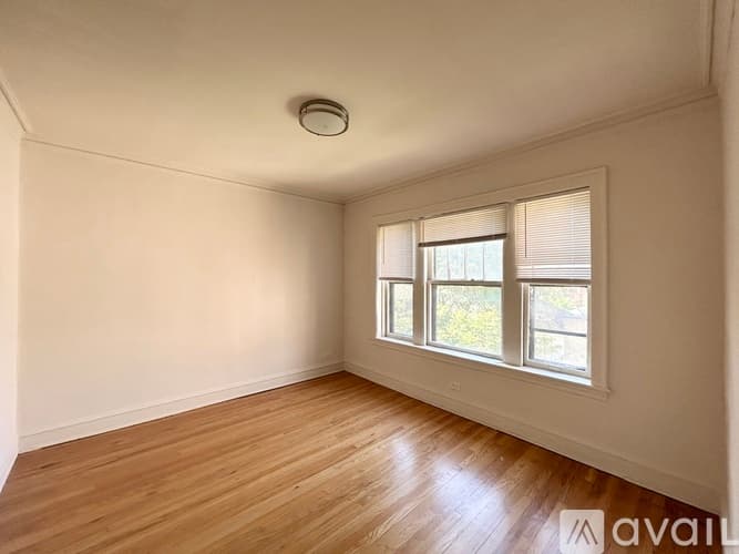 Chicago Apartment: 7250 N Hamilton Ave