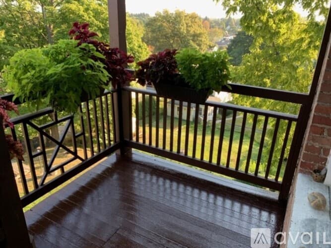 Northampton Apartment: 77 Prospect St