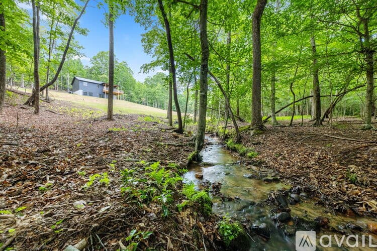 Morganton House: 52 Antler Creek Road