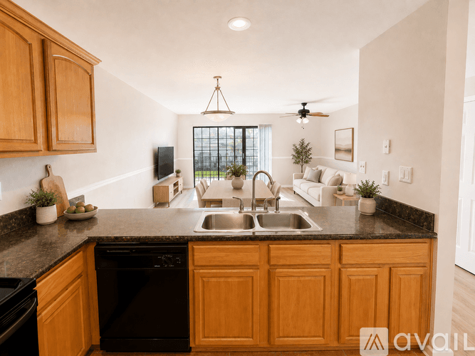 Tampa Apartment: 208 S Habana Ave