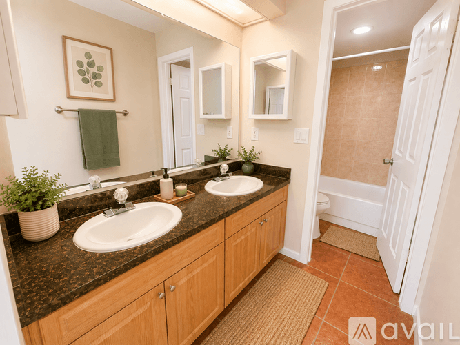 Tampa Apartment: 208 S Habana Ave