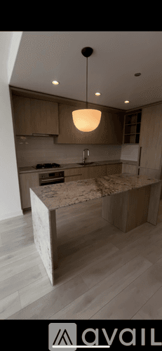 Chicago Apartment: 301 W Grand Ave