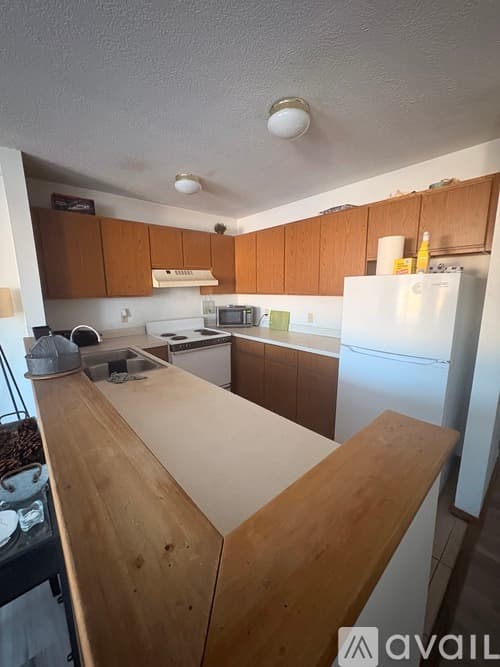 Akron Apartment: 719 Carroll Street