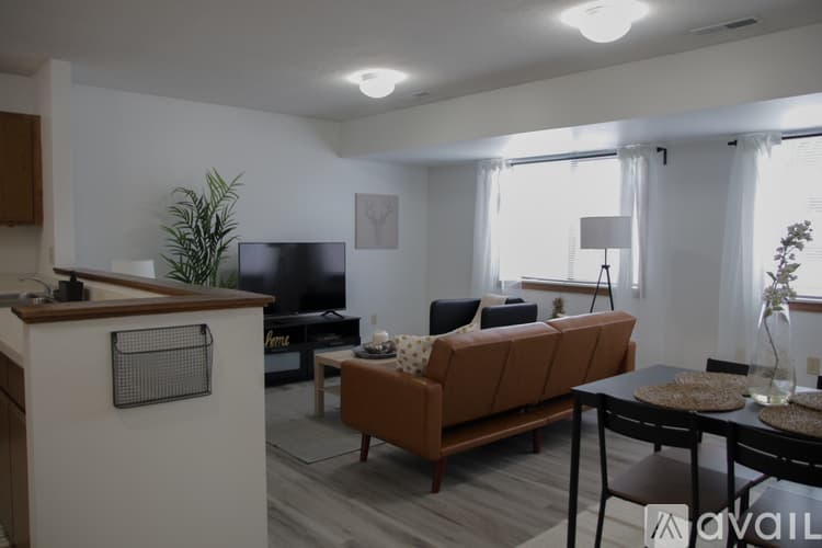 Akron Apartment: 719 Carroll Street