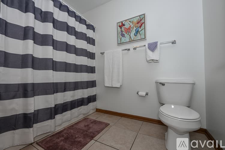 Akron Apartment: 719 Carroll Street