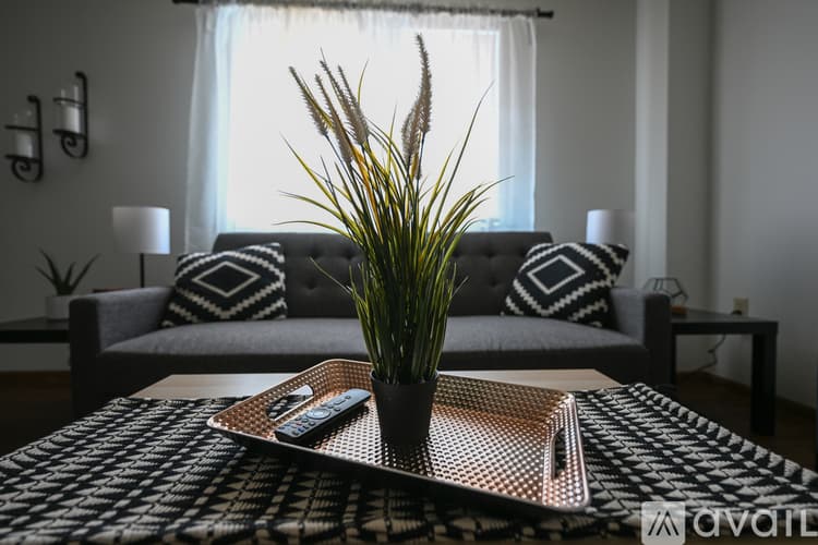 Akron Apartment: 719 Carroll Street