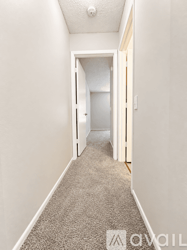 Tampa Apartment: 2570 Monica Court