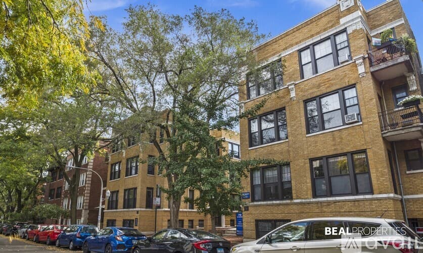 Chicago Apartment: 723 W Barry Ave