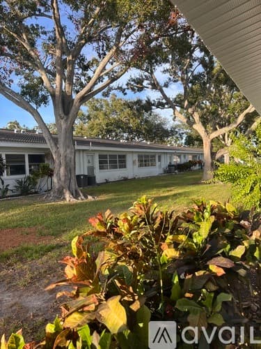Seminole Condo: 11200 102nd Ave N