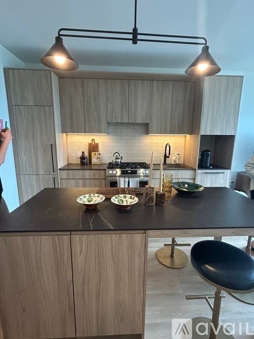 Chicago Apartment: 305 N Ada St