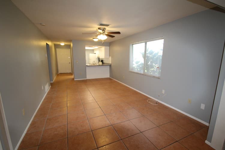 Dunedin Apartment: 857 Lyndhurst St