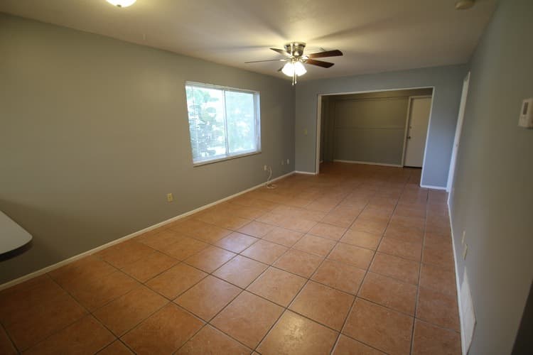 Dunedin Apartment: 857 Lyndhurst St