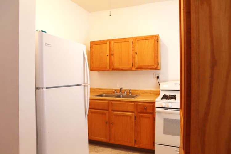 Chicago Apartment: 1916 S Sawyer Ave
