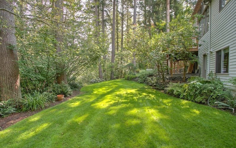 Issaquah Apartment: 24518 SE 42nd Pl