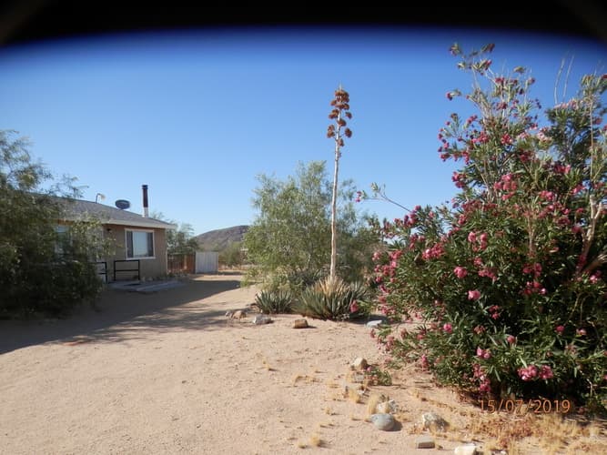 Landers House: 1038 Alta Ave