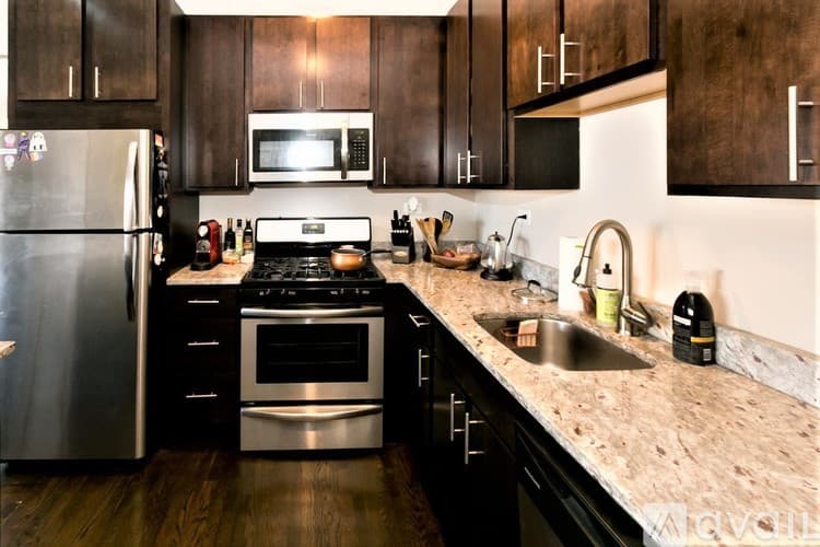 Chicago Apartment: 1604 W Berwyn Ave