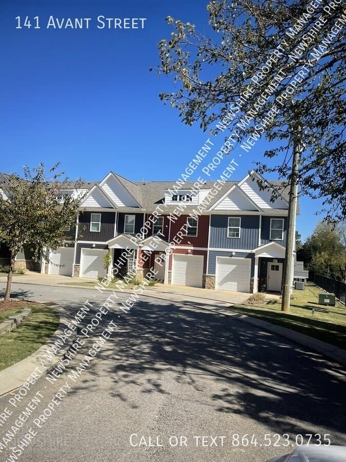 Spartanburg Condo: 141 Avant Street