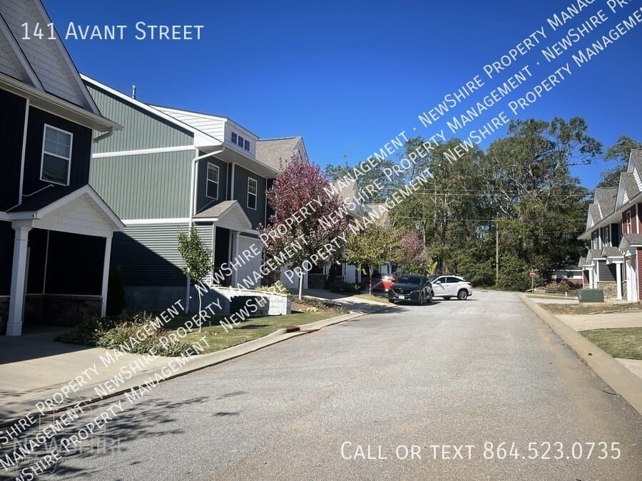 Spartanburg Condo: 141 Avant Street