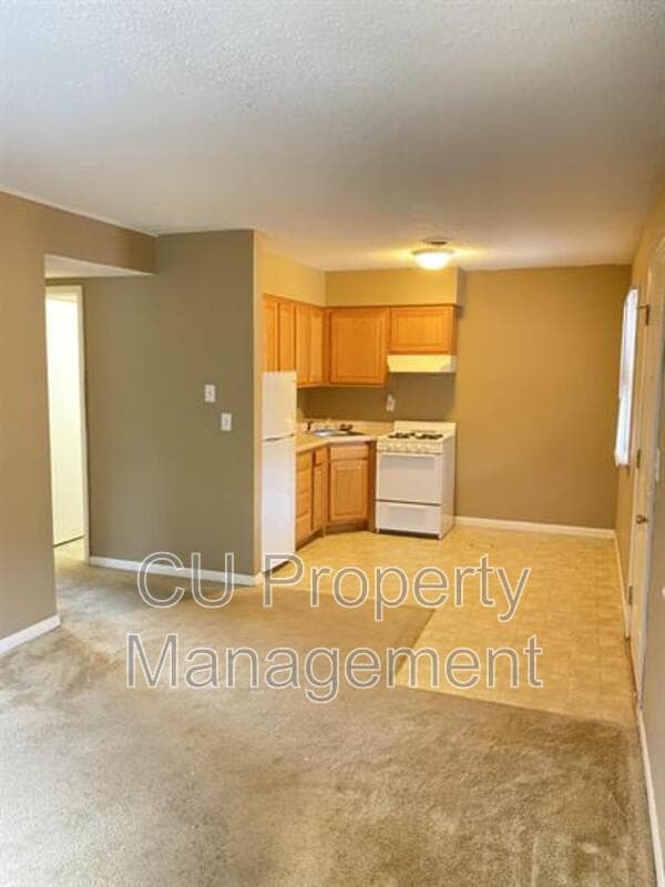 Champaign Condo: 711 W CHURCH St.