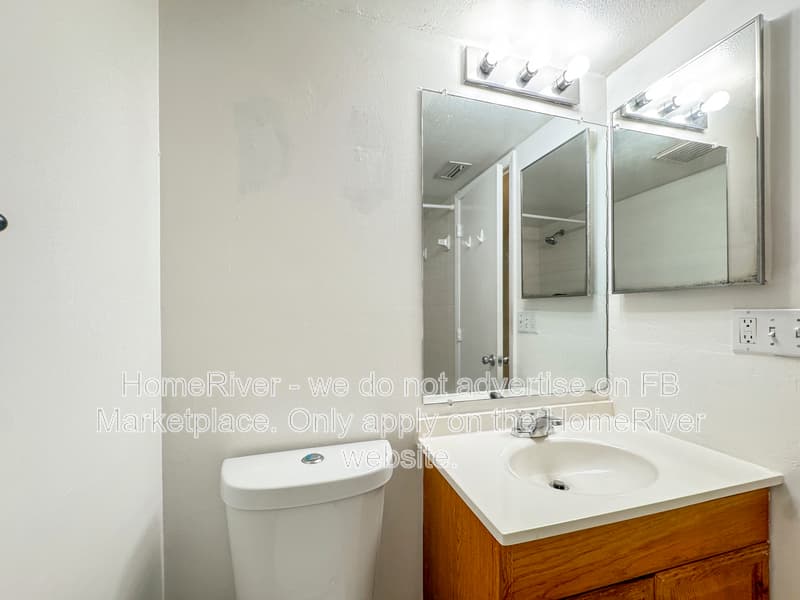 Oldsmar Condo: 117 Palmetto Ct