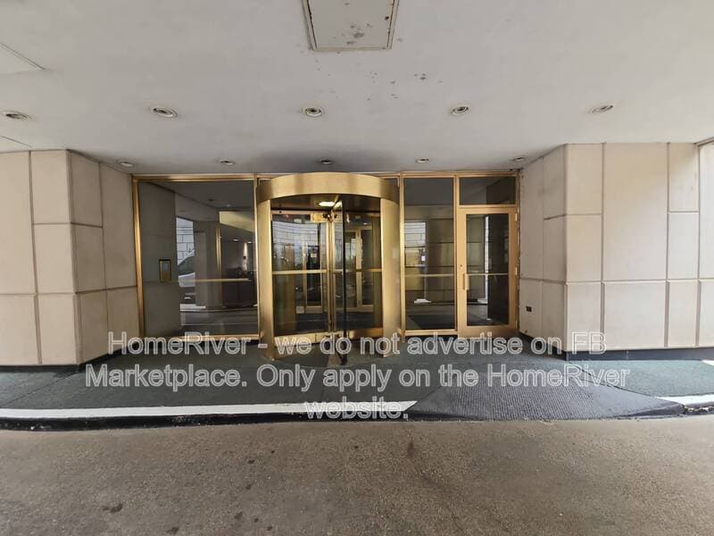 Chicago Condo: 21 W Goethe St