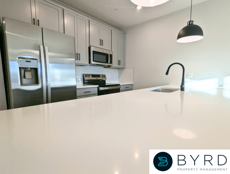 Midlothian Townhome: 13251 Garland Ln