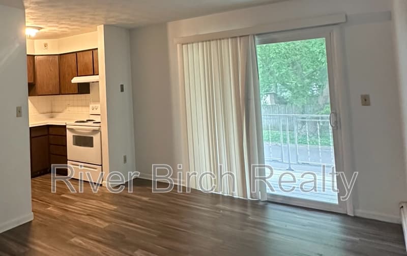Springfield Condo: 525 West Cook Street - 2
