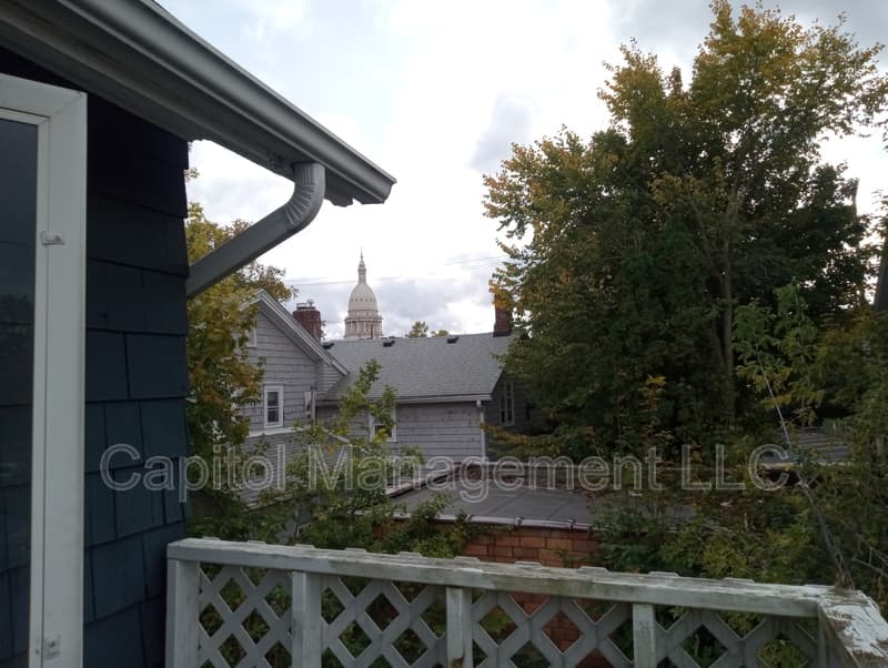 Lansing Condo: 307 North Walnut Street