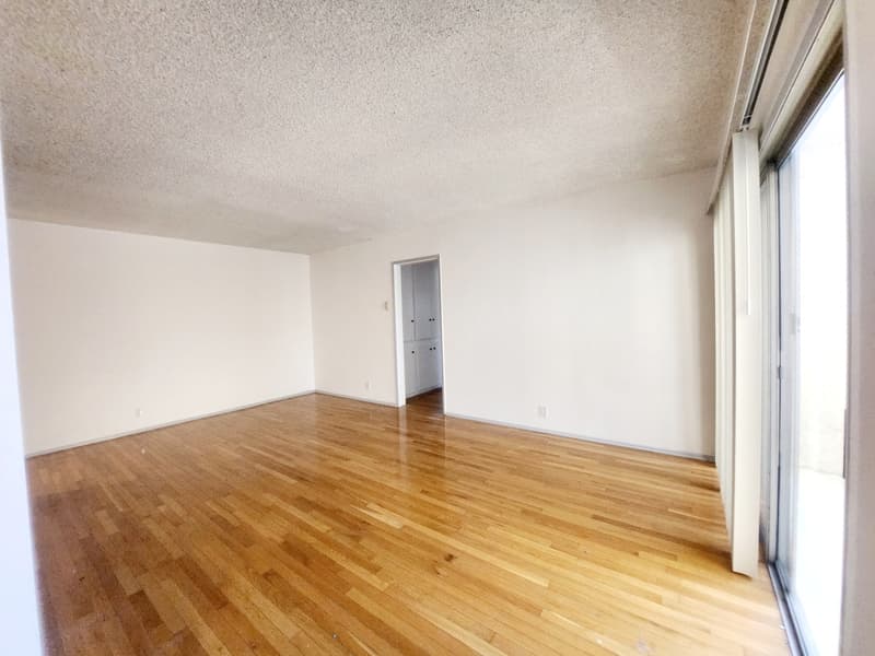Los Angeles Condo: 425 North Hobart Blvd. - 109