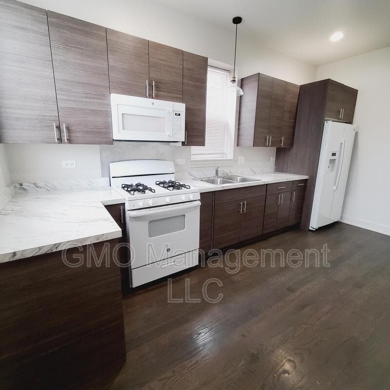 Chicago Condo: 2735 West Flournoy Street